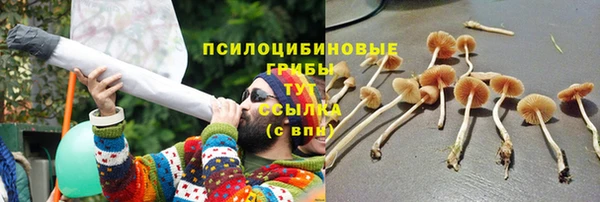 mdpv Верея