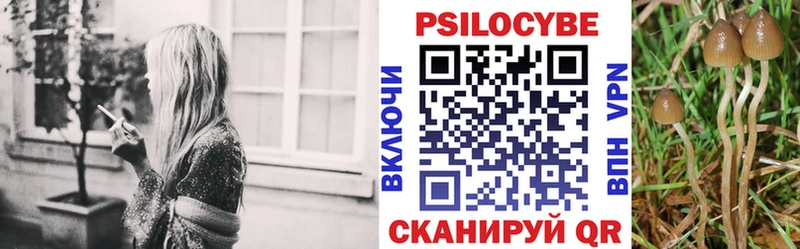 Псилоцибиновые грибы Magic Shrooms  Купить  Колпашево 